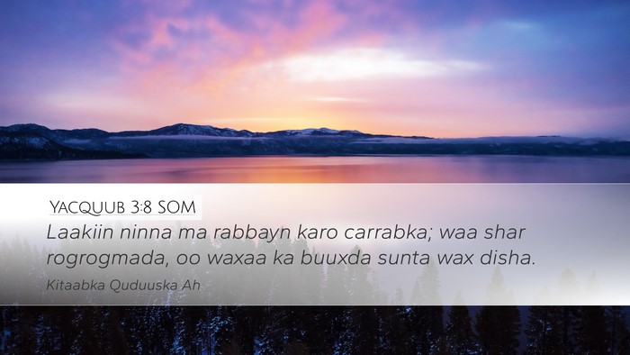 Yacquub 3:8 SOM Desktop Wallpaper - Laakiin ninna ma rabbayn karo carrabka; waa shar - Desktop Bible Verse Wallpaper