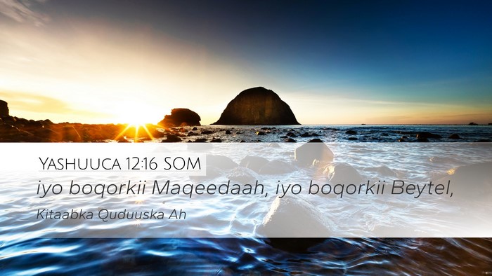 Yashuuca 12:16 SOM Desktop Wallpaper - iyo boqorkii Maqeedaah, iyo boqorkii - Desktop Bible Verse Wallpaper