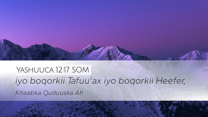 Yashuuca 12:17 SOM Bible Verse Image