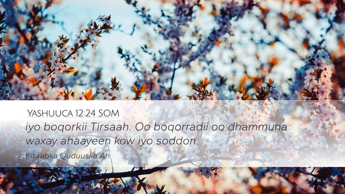 Yashuuca 12:24 SOM Desktop Wallpaper - iyo boqorkii Tirsaah. Oo boqorradii oo dhammuna - Desktop Bible Verse Wallpaper