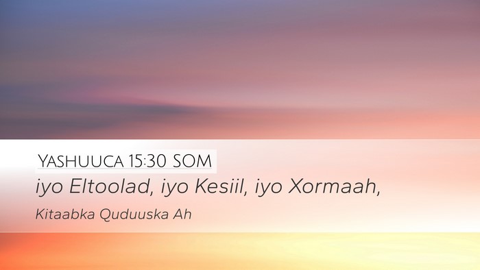 Yashuuca 15:30 SOM Desktop Wallpaper - iyo Eltoolad, iyo Kesiil, iyo - Desktop Bible Verse Wallpaper