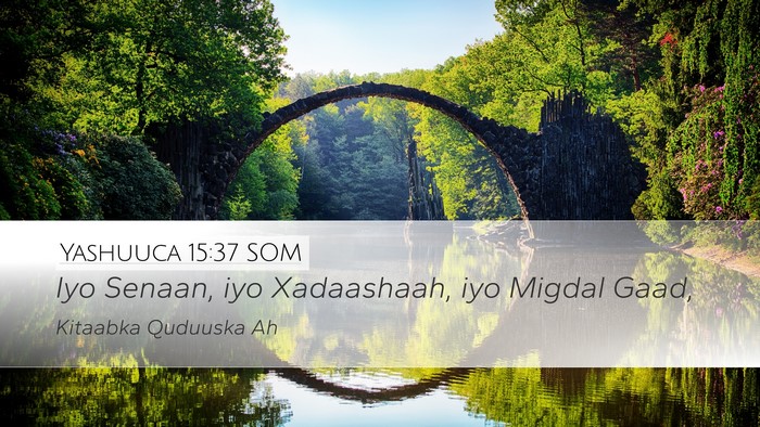 Yashuuca 15:37 SOM Desktop Wallpaper - Iyo Senaan, iyo Xadaashaah, iyo Migdal - Desktop Bible Verse Wallpaper