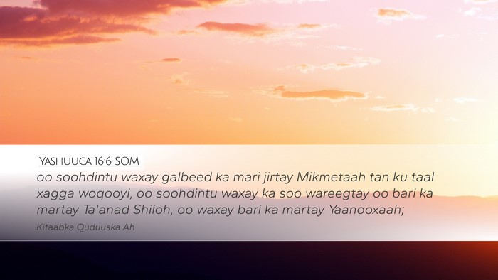 Yashuuca 16:6 SOM Bible Verse Image