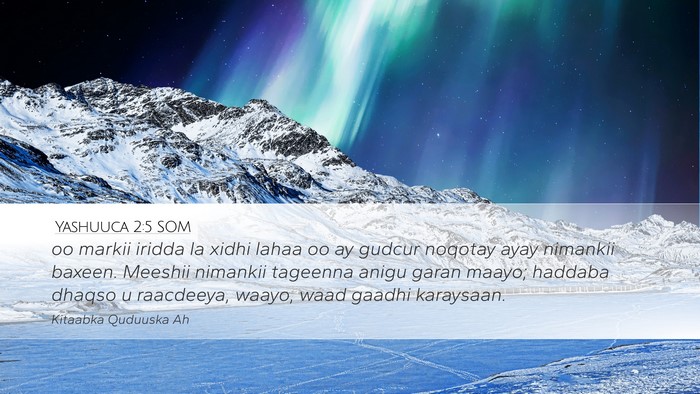 Yashuuca 2:5 SOM Desktop Wallpaper - oo markii iridda la xidhi lahaa oo ay gudcur - Desktop Bible Verse Wallpaper