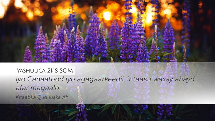 Yashuuca 21:18 SOM Desktop Wallpaper - iyo Canaatood iyo agagaarkeedii, intaasu waxay - Desktop Bible Verse Wallpaper