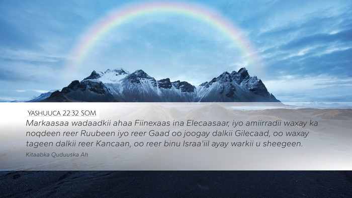 Yashuuca 22:32 SOM Desktop Wallpaper - Markaasaa wadaadkii ahaa Fiinexaas ina - Desktop Bible Verse Wallpaper