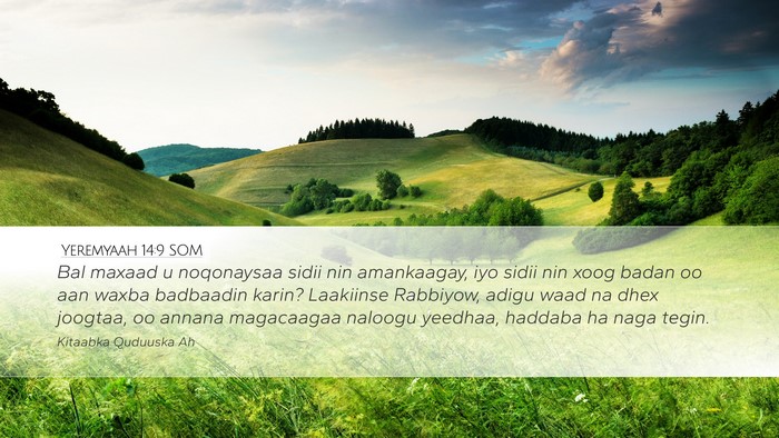 Yeremyaah 14:9 SOM Bible Verse Image