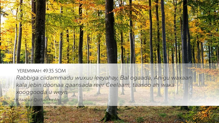Yeremyaah 49:35 SOM Bible Verse Image