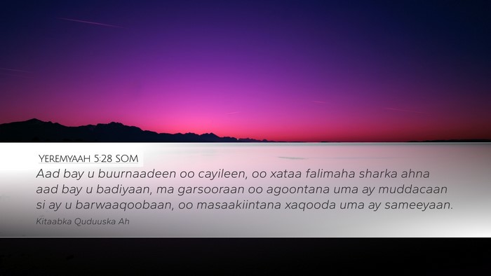 Yeremyaah 5:28 SOM Bible Verse Image
