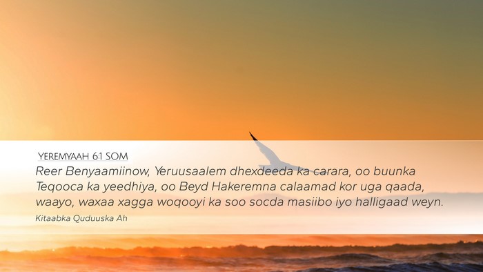Yeremyaah 6:1 SOM Bible Verse Image