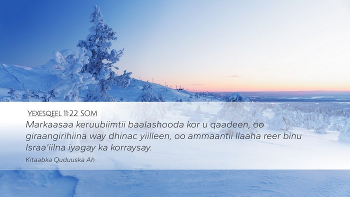 Yexesqeel 11:22 SOM Bible Verse Image