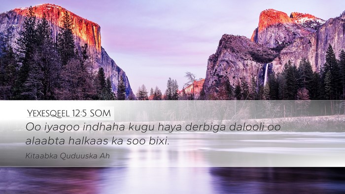 Yexesqeel 12:5 SOM Bible Verse Image