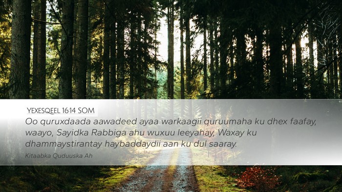 Yexesqeel 16:14 SOM Bible Verse Image