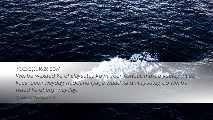 Yexesqeel 16:28 SOM Bible Verse Image