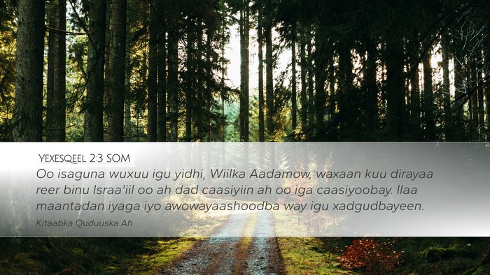 Yexesqeel 2:3 SOM Bible Verse Image