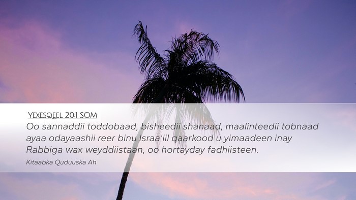 Yexesqeel 20:1 SOM Bible Verse Image