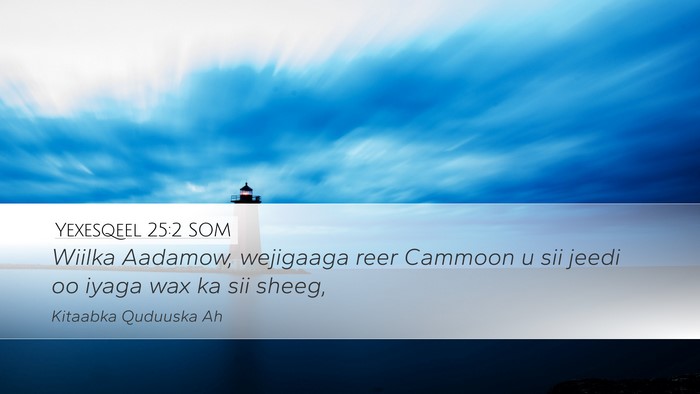 Yexesqeel 25:2 SOM Bible Verse Image