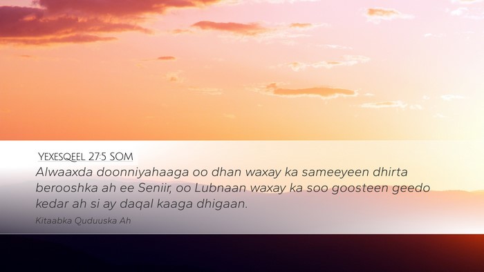 Yexesqeel 27:5 SOM Bible Verse Image