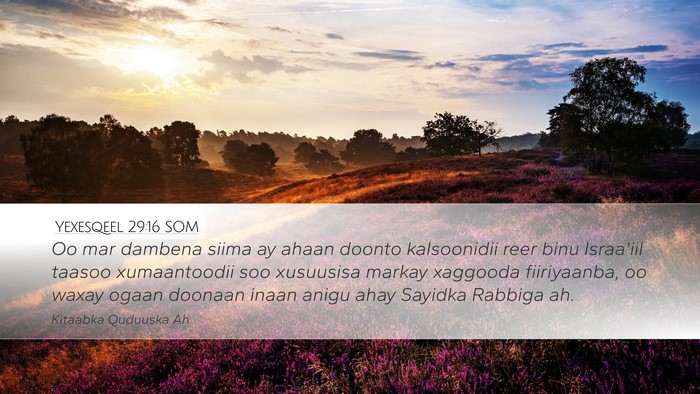 Yexesqeel 29:16 SOM Bible Verse Image