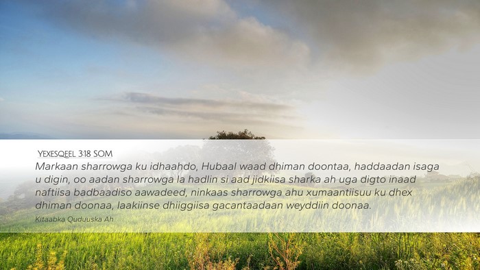 Yexesqeel 3:18 SOM Bible Verse Image