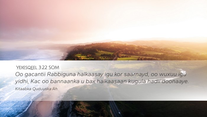 Yexesqeel 3:22 SOM Bible Verse Image