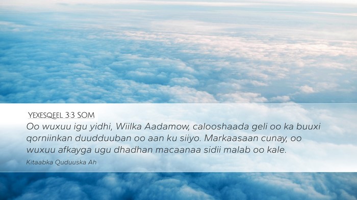 Yexesqeel 3:3 SOM Bible Verse Image