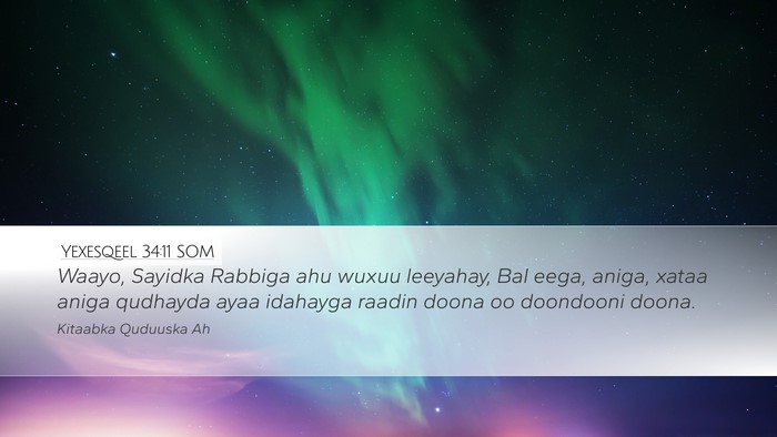 Yexesqeel 34:11 SOM Bible Verse Image