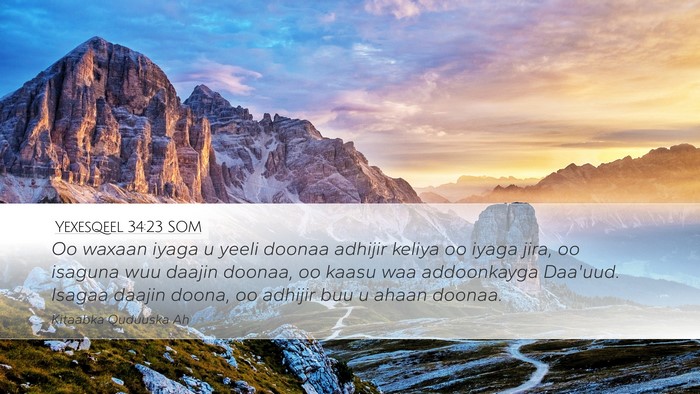 Yexesqeel 34:23 SOM Bible Verse Image