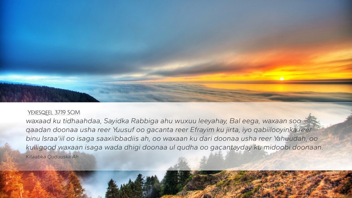 Yexesqeel 37:19 SOM Bible Verse Image