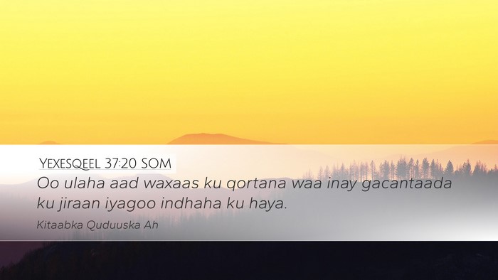 Yexesqeel 37:20 SOM Bible Verse Image