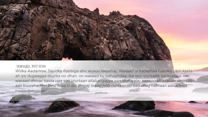 Yexesqeel 39:17 SOM Desktop Wallpaper - Wiilka Aadamow, Sayidka Rabbiga ahu wuxuu - Desktop Bible Verse Wallpaper