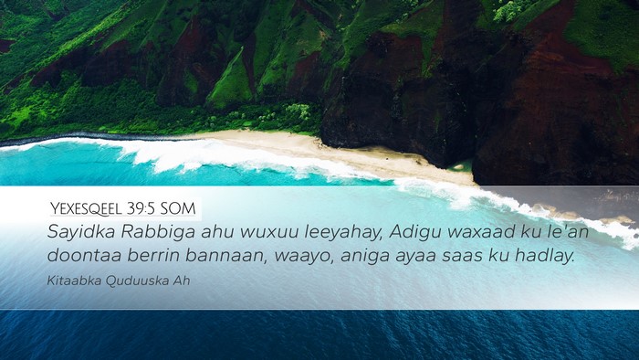 Yexesqeel 39:5 SOM Desktop Wallpaper - Sayidka Rabbiga ahu wuxuu leeyahay, Adigu waxaad - Desktop Bible Verse Wallpaper