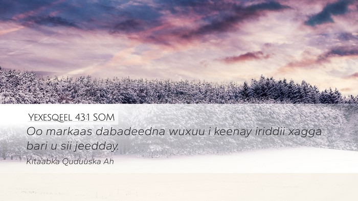 Yexesqeel 43:1 SOM Desktop Wallpaper - Oo markaas dabadeedna wuxuu i keenay iriddii - Desktop Bible Verse Wallpaper