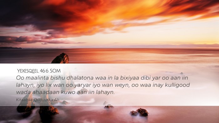 Yexesqeel 46:6 SOM Bible Verse Image
