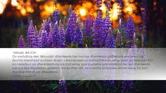Yexesqeel 48:8 SOM Bible Verse Image