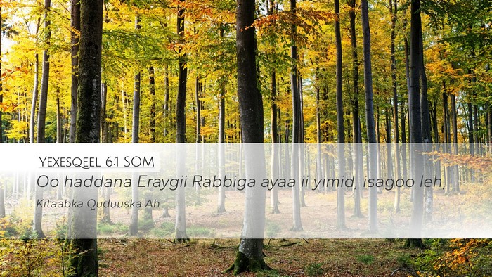 Yexesqeel 6:1 SOM Desktop Wallpaper - Oo haddana Eraygii Rabbiga ayaa ii yimid, isagoo - Desktop Bible Verse Wallpaper