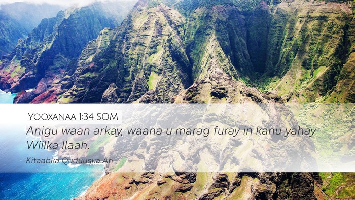 Yooxanaa 1:34 SOM Bible Verse Image