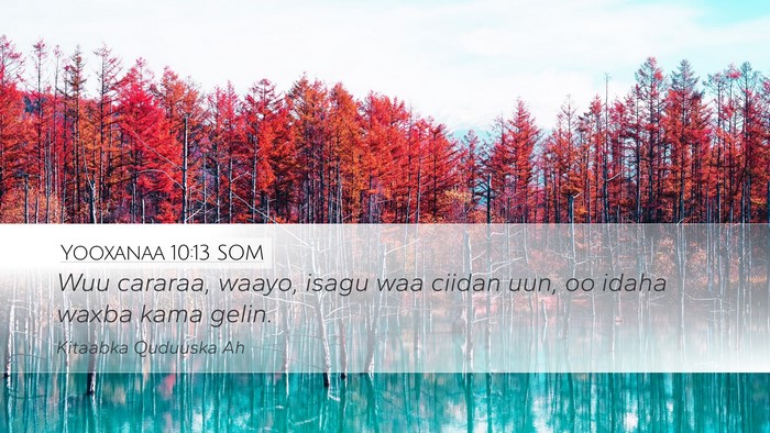 Yooxanaa 10:13 SOM Desktop Wallpaper - Wuu cararaa, waayo, isagu waa ciidan uun, oo - Desktop Bible Verse Wallpaper