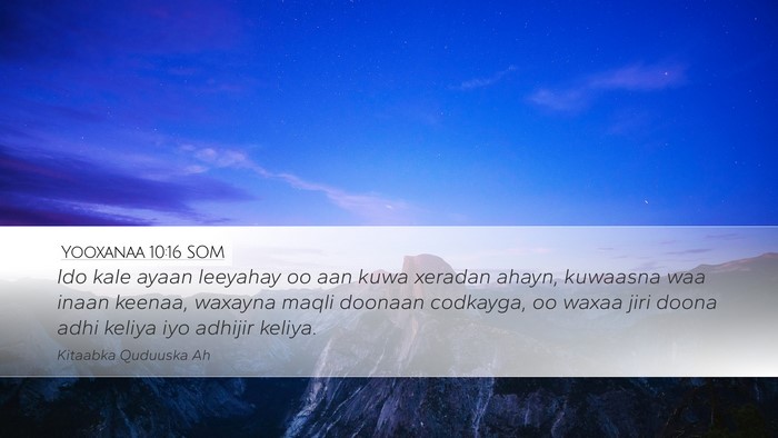 Yooxanaa 10:16 SOM Desktop Wallpaper - Ido kale ayaan leeyahay oo aan kuwa xeradan - Desktop Bible Verse Wallpaper