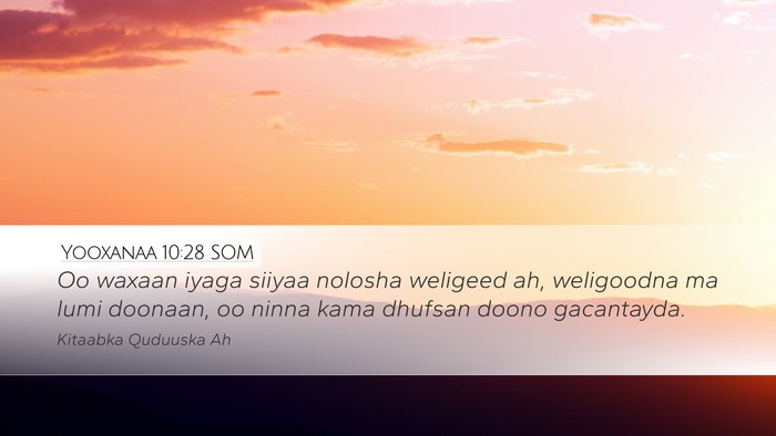 Yooxanaa 10:28 SOM Bible Verse Image