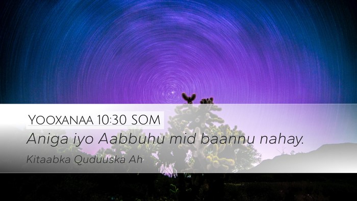 Yooxanaa 10:30 SOM Bible Verse Image