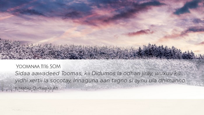 Yooxanaa 11:16 SOM Bible Verse Image