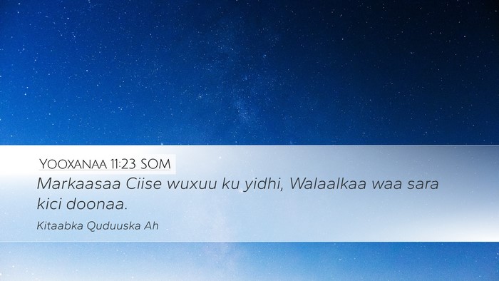 Yooxanaa 11:23 SOM Bible Verse Image