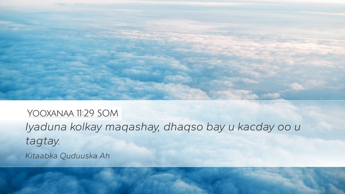 Yooxanaa 11:29 SOM Desktop Wallpaper - Iyaduna kolkay maqashay, dhaqso bay u kacday oo u - Desktop Bible Verse Wallpaper