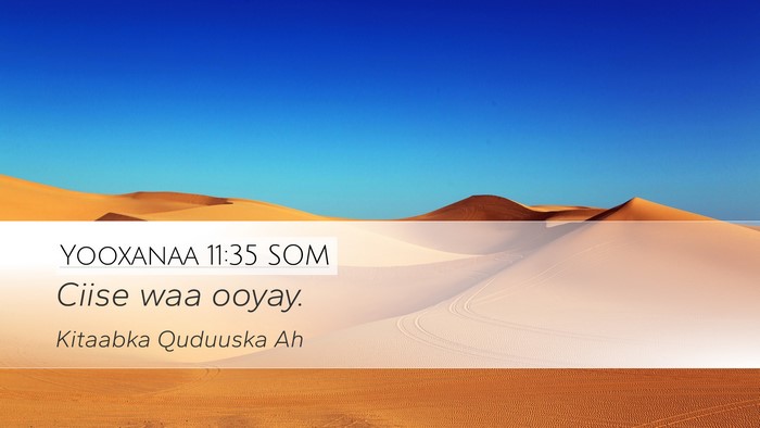 Yooxanaa 11:35 SOM Bible Verse Image