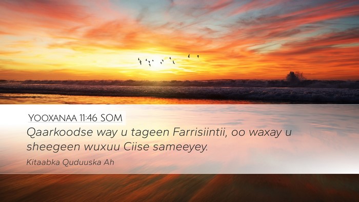 Yooxanaa 11:46 SOM Bible Verse Image