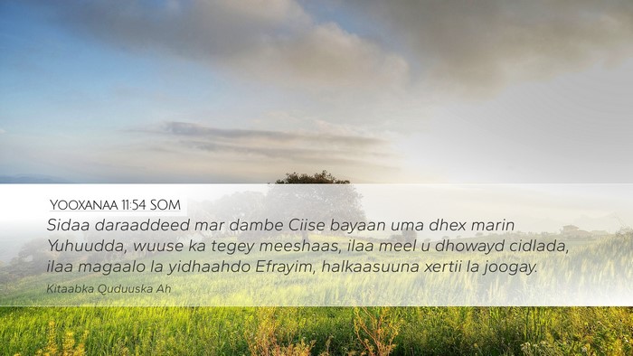 Yooxanaa 11:54 SOM Bible Verse Image