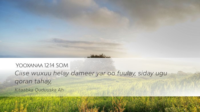 Yooxanaa 12:14 SOM Bible Verse Image