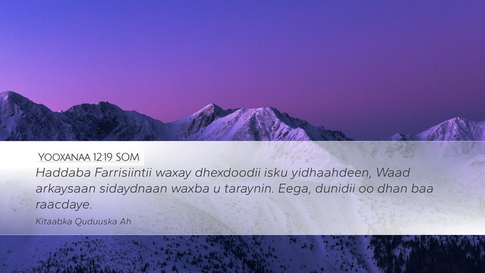 Yooxanaa 12:19 SOM Bible Verse Image