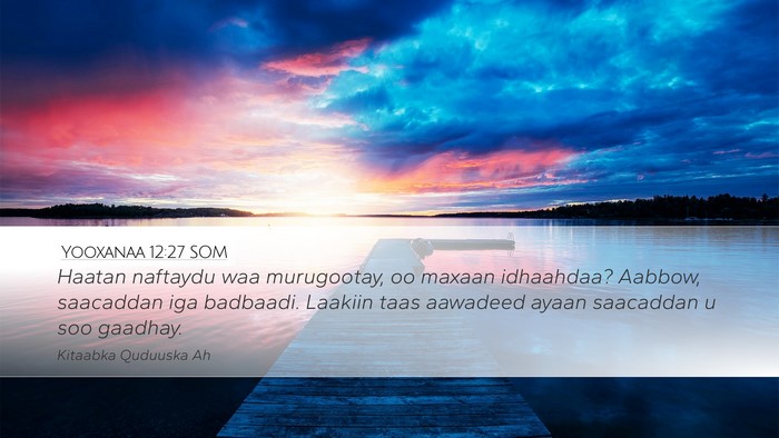 Yooxanaa 12:27 SOM Bible Verse Image